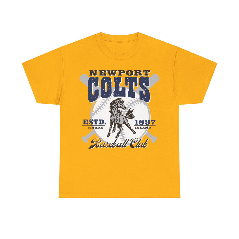 Load image into Gallery viewer, Newport Colts Est 1897 Rhode Island Baseball T-shirt
