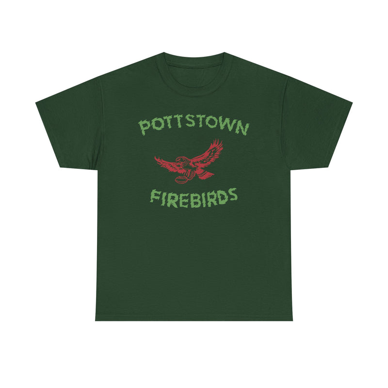 Load image into Gallery viewer, Pottstown Firebirds Pennsylvania 1968-1970 Football T-shirt