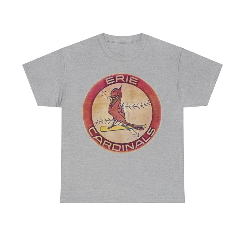 Load image into Gallery viewer, Erie Cardinals Pennsylvania Baseball Team T-shirt