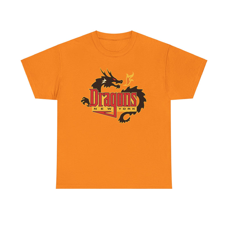 Load image into Gallery viewer, New York Dragons Arena Football League 2001-2008 T-shirt