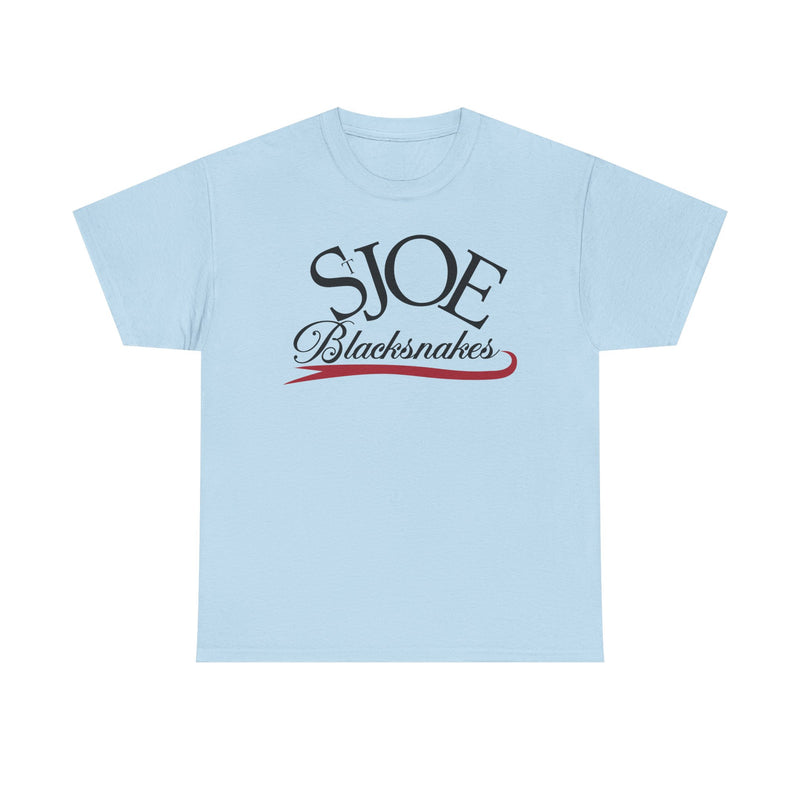 Load image into Gallery viewer, St. Joe Blacksnakes Missouri Baseball 2006-2007 T-shirt