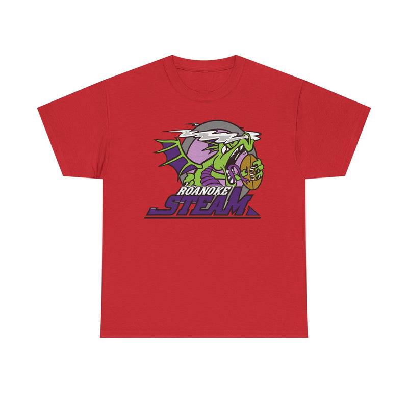 Load image into Gallery viewer, Roanoke Steam Virginia Arena Football 2000-2002 T-shirt
