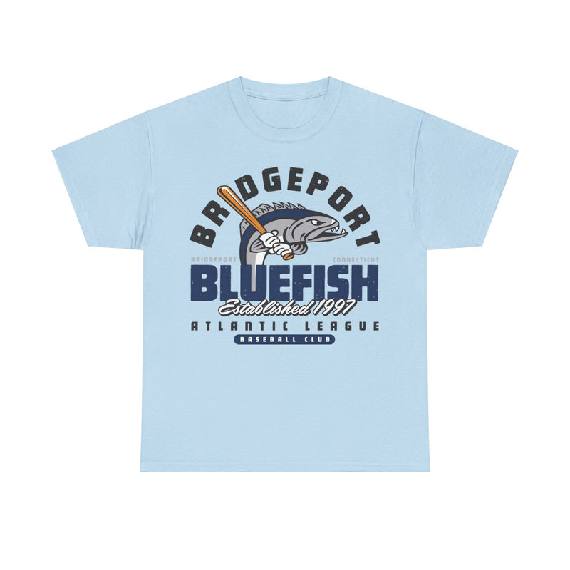 Load image into Gallery viewer, Bridgeport Bluefish Est 1997 Connecticut Baseball T-shirt