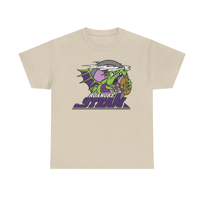 Load image into Gallery viewer, Roanoke Steam Virginia Arena Football 2000-2002 T-shirt
