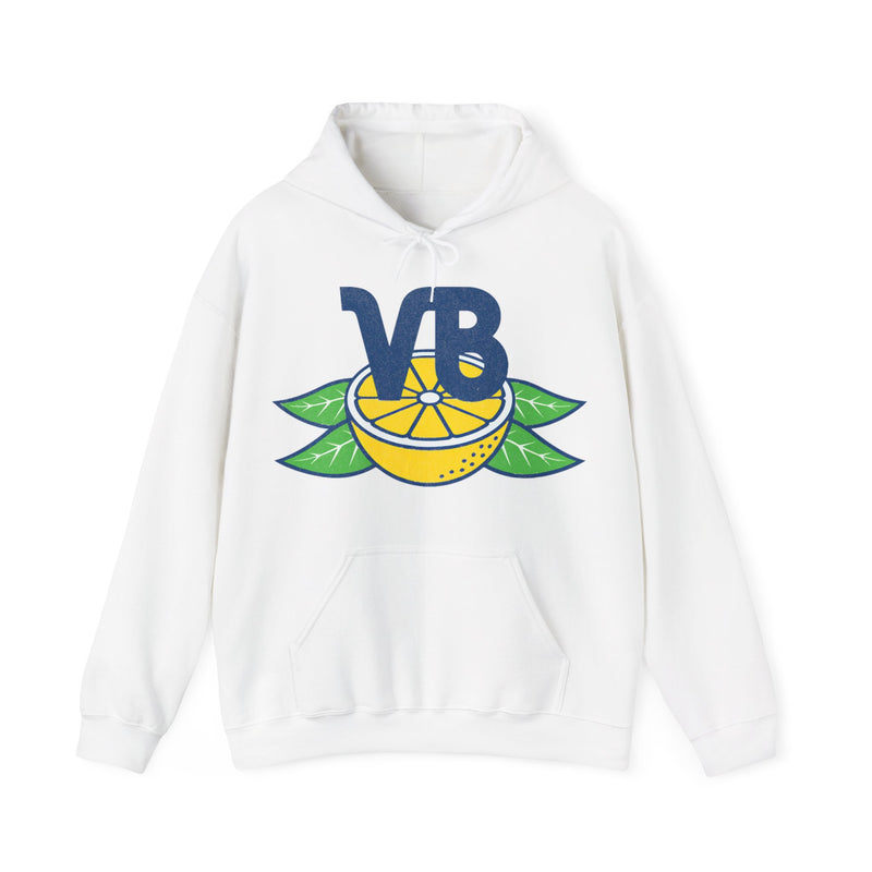 Load image into Gallery viewer, Vero Beach Dodgers Baseball Team Retro Pullover Hoody