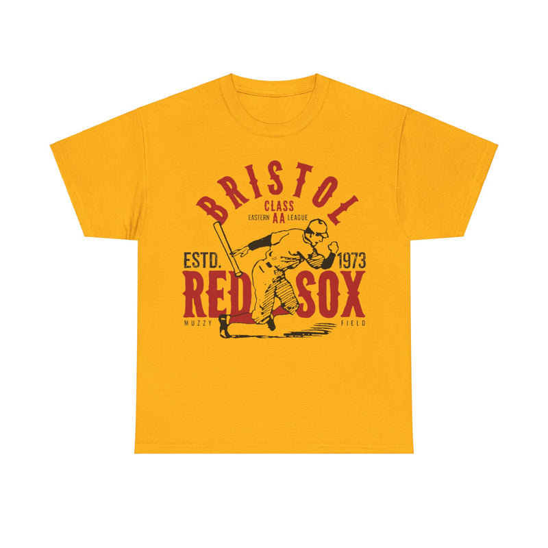 Load image into Gallery viewer, Bristol Red Sox Est 1973  Connecticut Baseball T-shirt