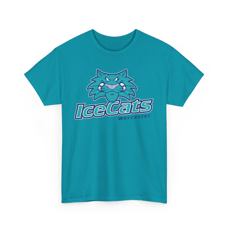 Load image into Gallery viewer, Worcester IceCats Hockey 1994-2005 Massachusetts T-shirt
