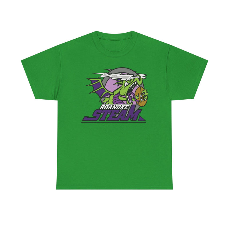 Load image into Gallery viewer, Roanoke Steam Virginia Arena Football 2000-2002 T-shirt