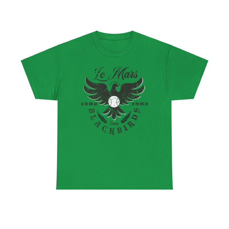 Load image into Gallery viewer, Le Mars Blackbirds Est 1902 Iowa Baseball T-shirt