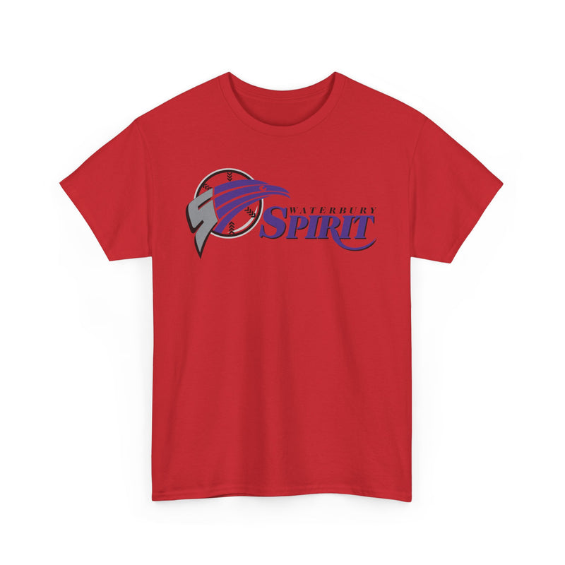 Load image into Gallery viewer, Waterbury Connecticut Spirit Baseball 1997-2000 T-shirt
