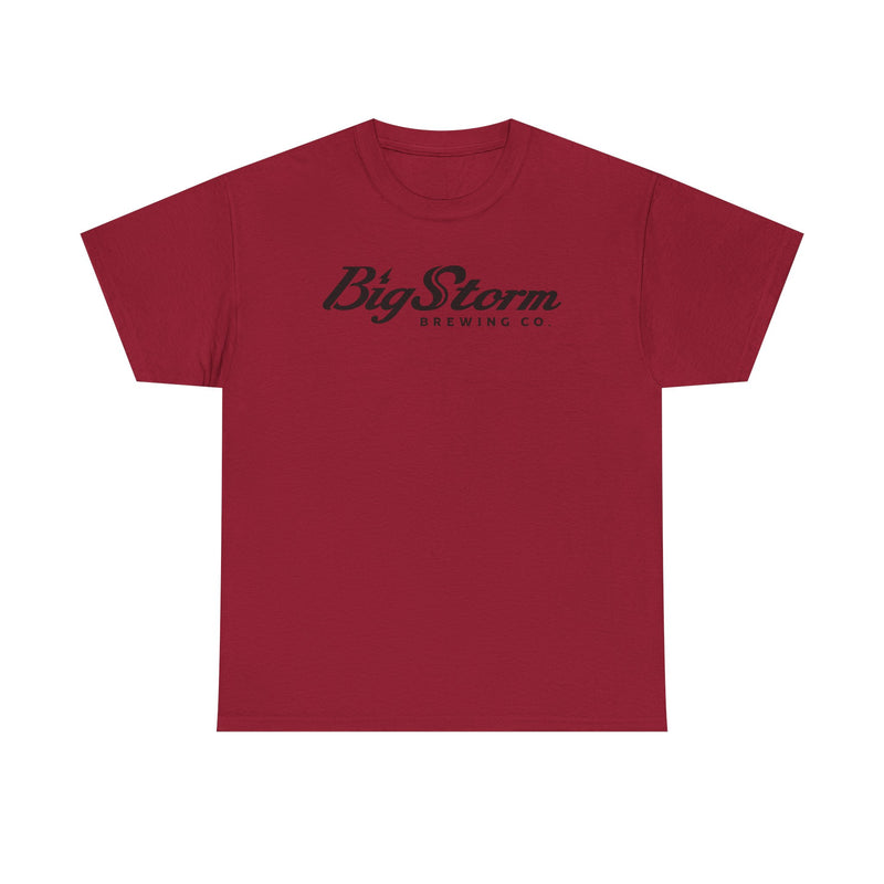Load image into Gallery viewer, Big Storm Brewing Co T-Shirt - Bankrupt Brewery Logo Tee