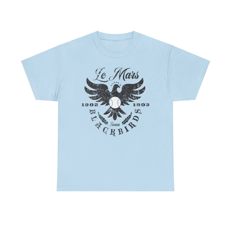 Load image into Gallery viewer, Le Mars Blackbirds Est 1902 Iowa Baseball T-shirt