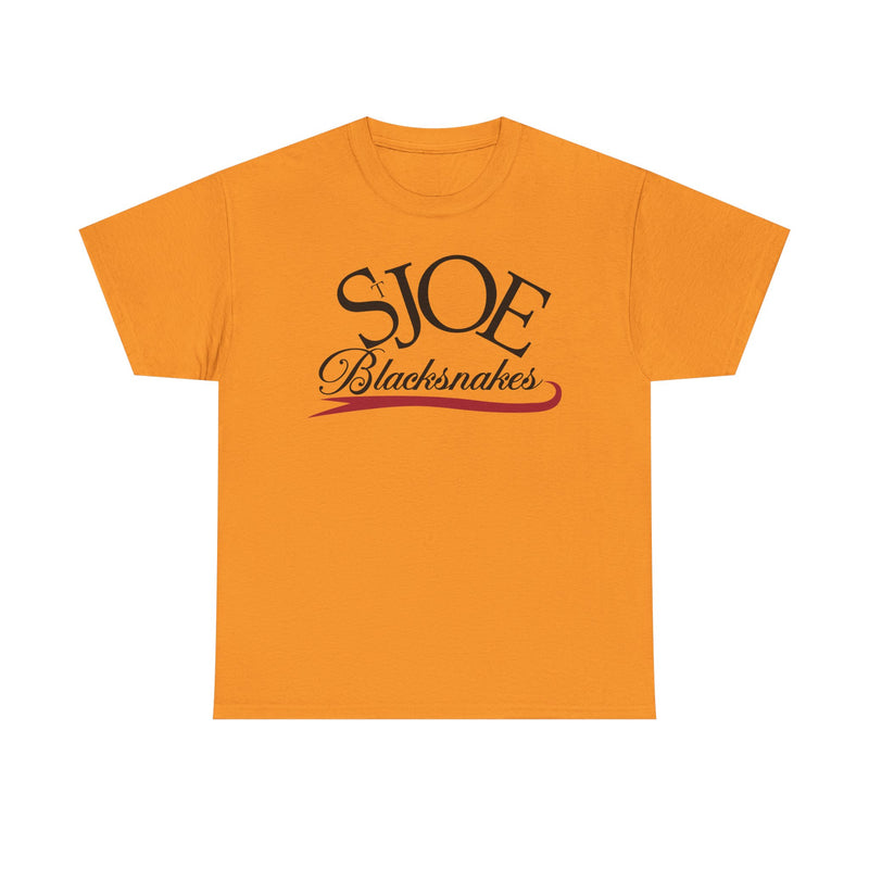 Load image into Gallery viewer, St. Joe Blacksnakes Missouri Baseball 2006-2007 T-shirt