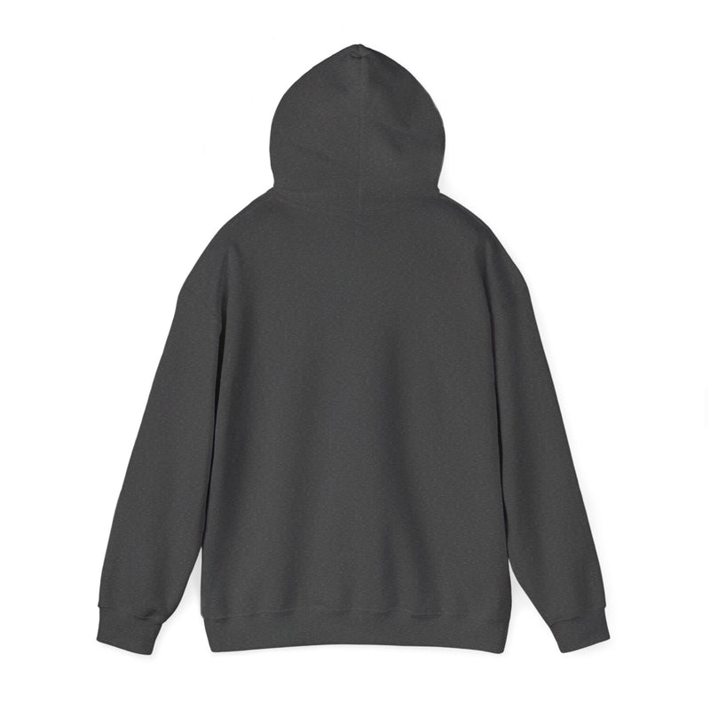 Load image into Gallery viewer, Silk Road Anonymous Marketplace Nostalgic Logo Pullover Hoody
