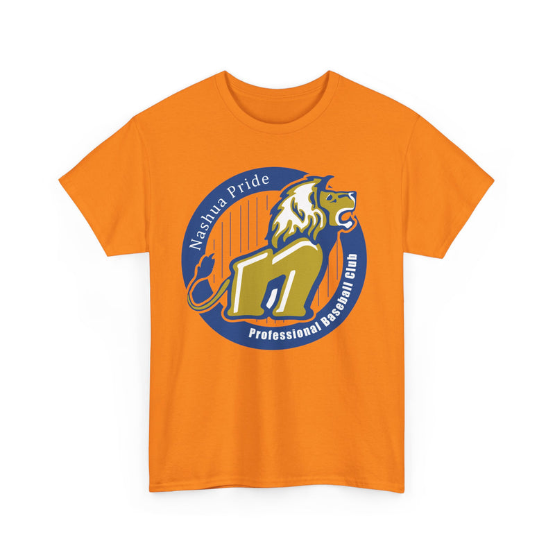 Load image into Gallery viewer, Nashua Pride New Hampshire Baseball 1998-2008 T-shirt