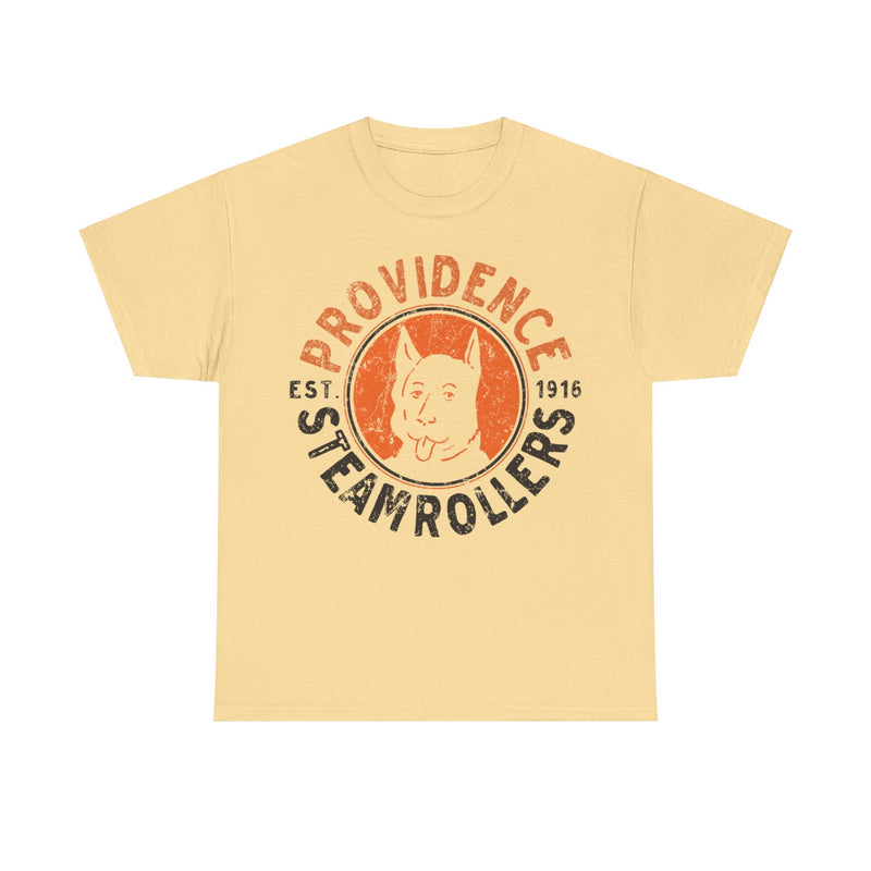 Load image into Gallery viewer, Providence Steamrollers Rhode Island Est 1916 Football T-shirt