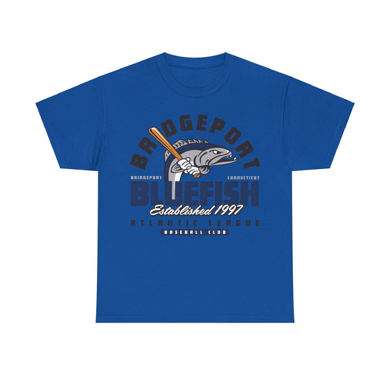 Load image into Gallery viewer, Bridgeport Bluefish Est 1997 Connecticut Baseball T-shirt