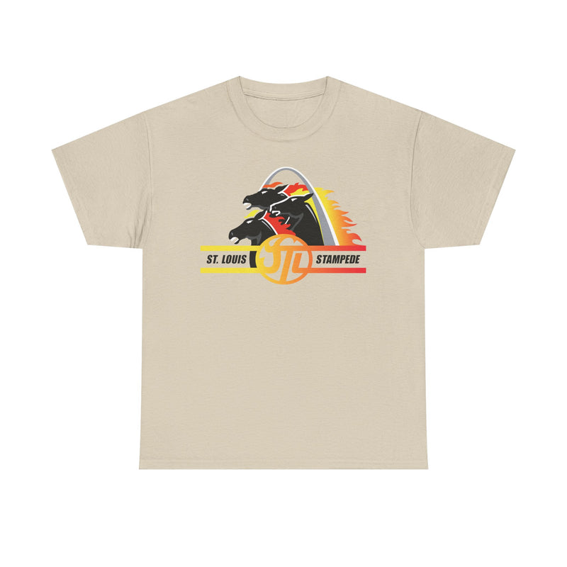 Load image into Gallery viewer, St. Louis Stampede Missouri Arena Football 1995-1996 T-shirt