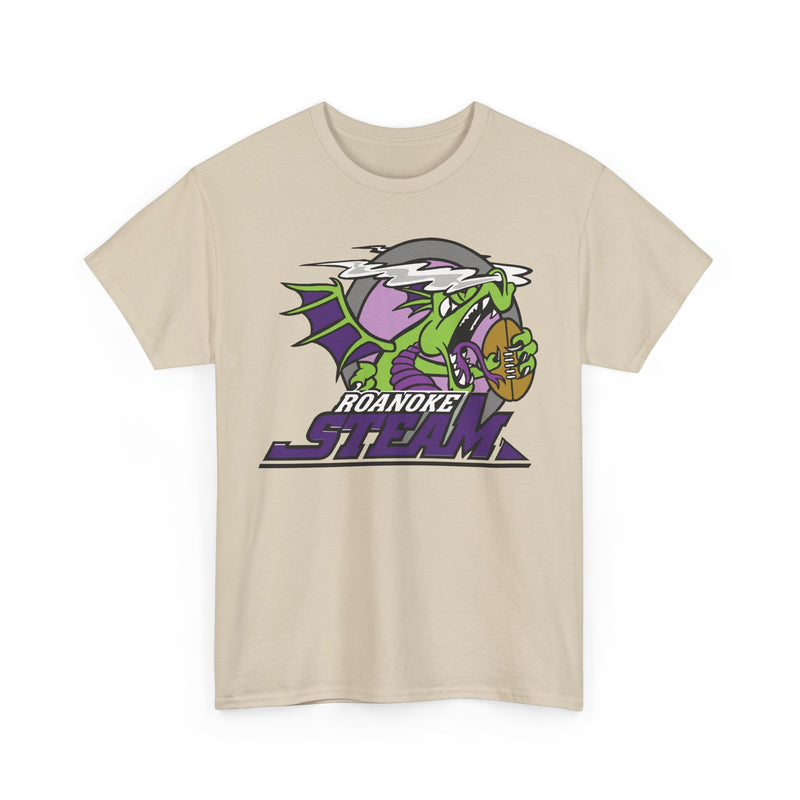 Load image into Gallery viewer, Roanoke Steam Virginia Arena Football 2000-2002 T-shirt