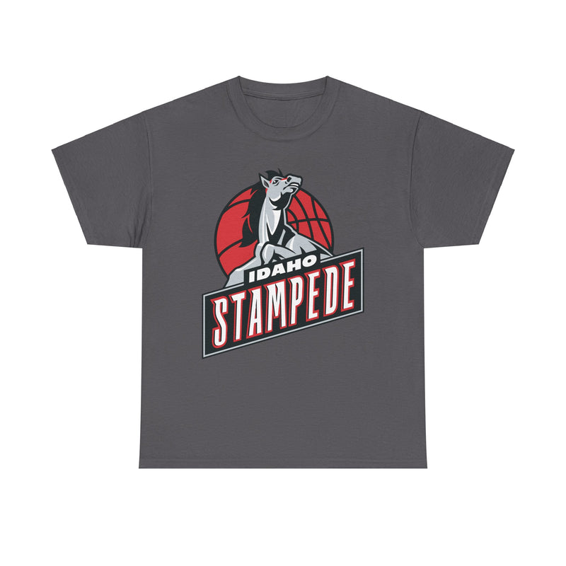 Load image into Gallery viewer, Idaho Stampede Continental Basketball Association NBA D-League 1997-2016 T-shirt