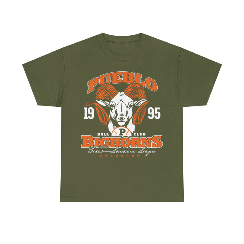 Load image into Gallery viewer, Pueblo Bighorns Est 1995 Colorado Baseball T-shirt