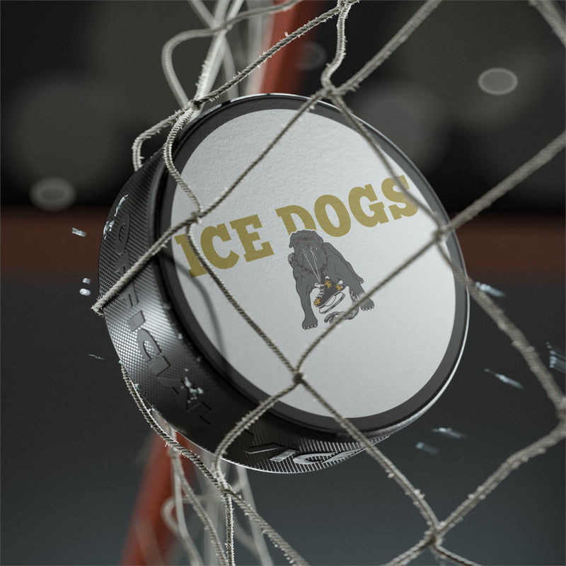 Load image into Gallery viewer, Los Angeles Ice Dogs International League 1995-1996 California Hockey Puck