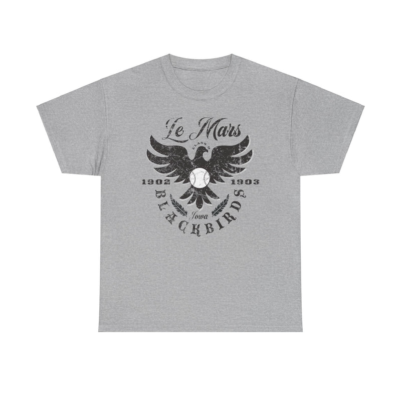 Load image into Gallery viewer, Le Mars Blackbirds Est 1902 Iowa Baseball T-shirt