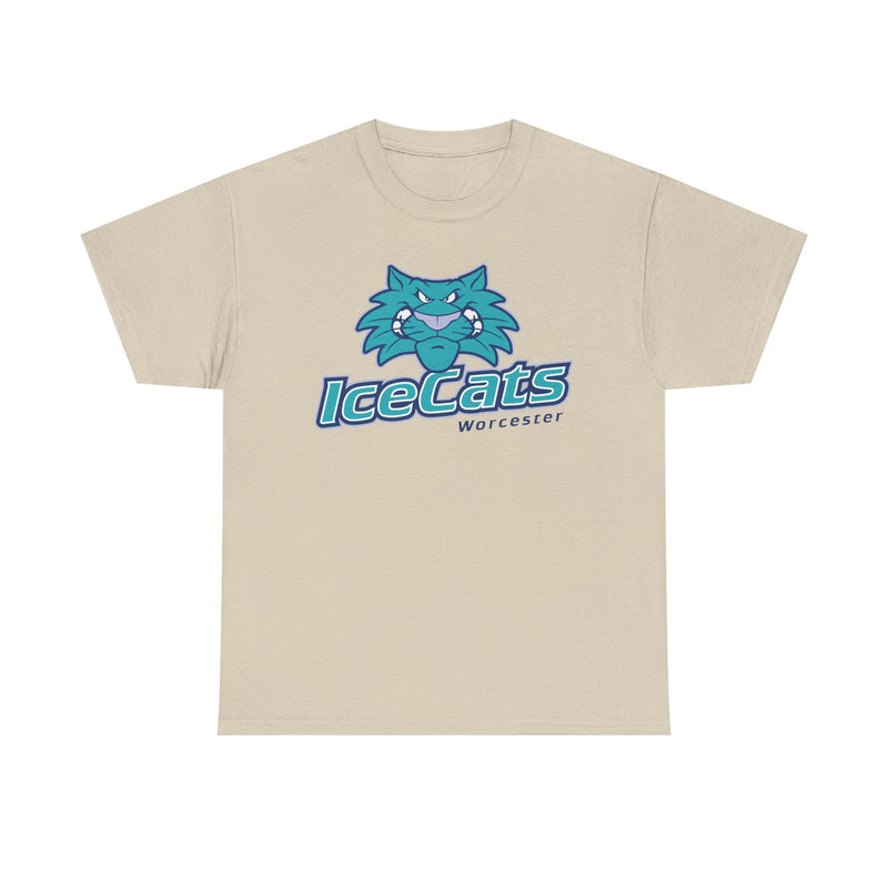 Load image into Gallery viewer, Worcester IceCats Hockey 1994-2005 Massachusetts T-shirt