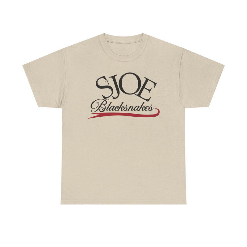 Load image into Gallery viewer, St. Joe Blacksnakes Missouri Baseball 2006-2007 T-shirt