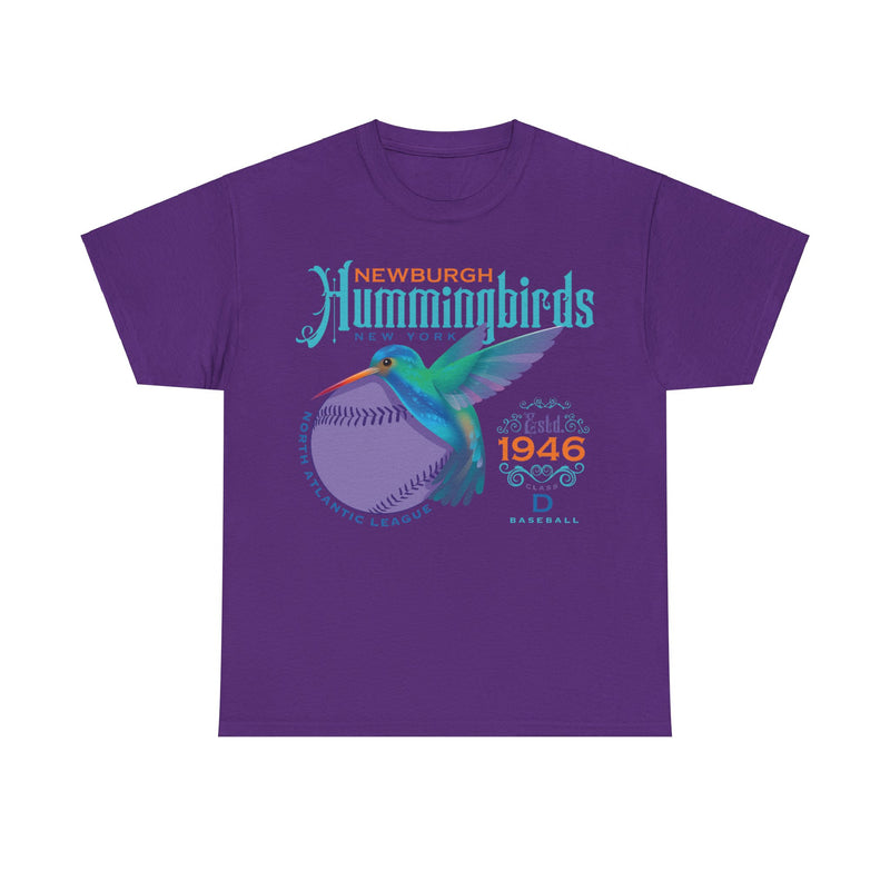 Load image into Gallery viewer, Newburgh Hummingbirds Est 1946 New York Baseball T-shirt