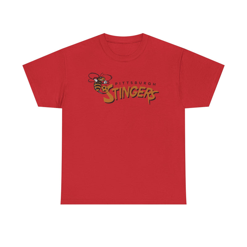 Load image into Gallery viewer, Pittsburgh Stingers Pennsylvania Soccer 1994-1995 T-shirt