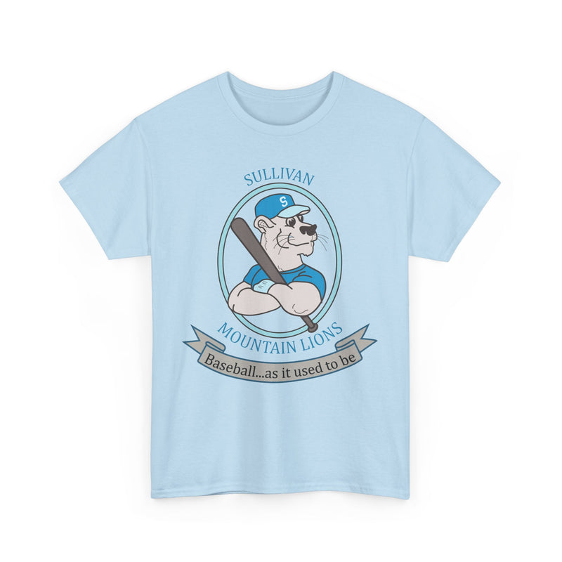 Load image into Gallery viewer, Sullivan County Mountain Lions Baseball 1995 New York T-shirt