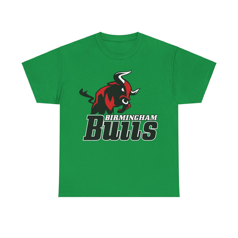 Load image into Gallery viewer, Birmingham Bulls Alabama Football Team T-shirt