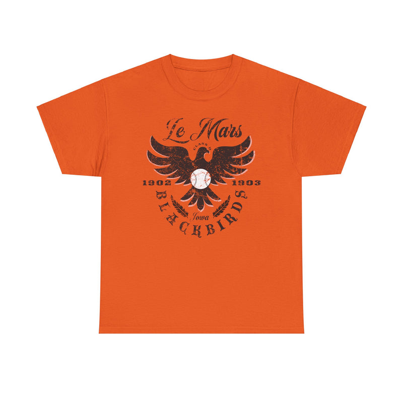 Load image into Gallery viewer, Le Mars Blackbirds Est 1902 Iowa Baseball T-shirt