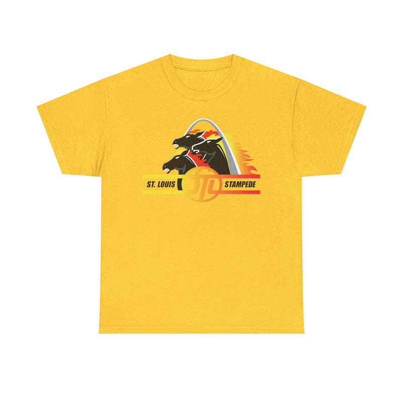 Load image into Gallery viewer, St. Louis Stampede Missouri Arena Football 1995-1996 T-shirt