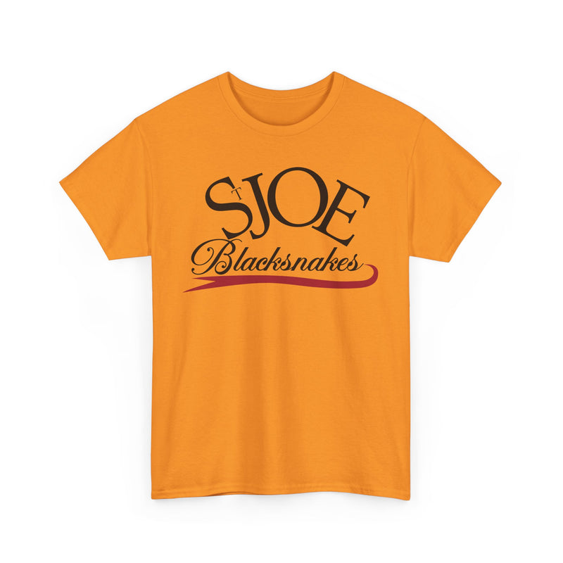 Load image into Gallery viewer, St. Joe Blacksnakes Missouri Baseball 2006-2007 T-shirt