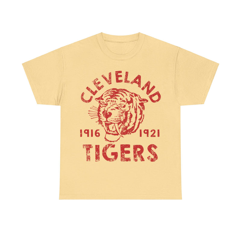 Load image into Gallery viewer, Cleveland Tigers 1916-1921 Ohio Football Team T-shirt