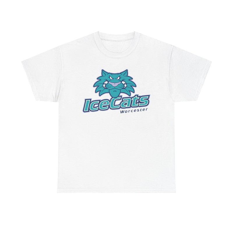 Load image into Gallery viewer, Worcester IceCats Hockey 1994-2005 Massachusetts T-shirt