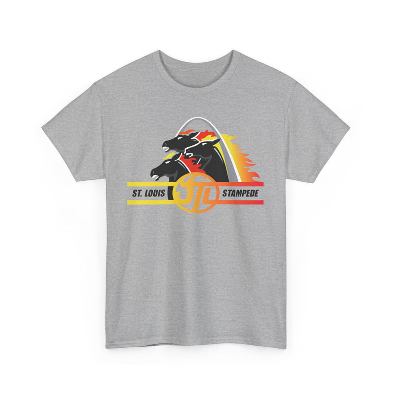 Load image into Gallery viewer, St. Louis Stampede Missouri Arena Football 1995-1996 T-shirt