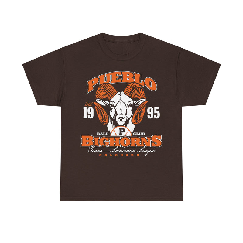 Load image into Gallery viewer, Pueblo Bighorns Est 1995 Colorado Baseball T-shirt