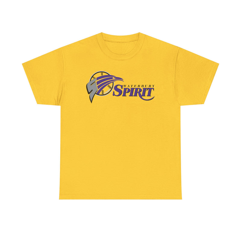 Load image into Gallery viewer, Waterbury Connecticut Spirit Baseball 1997-2000 T-shirt