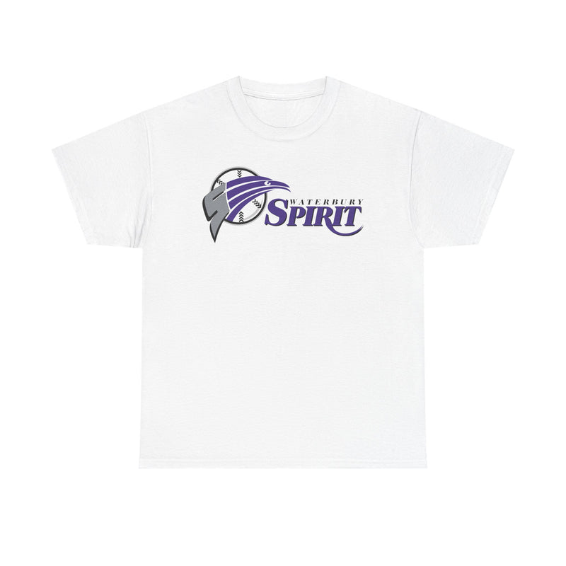 Load image into Gallery viewer, Waterbury Connecticut Spirit Baseball 1997-2000 T-shirt