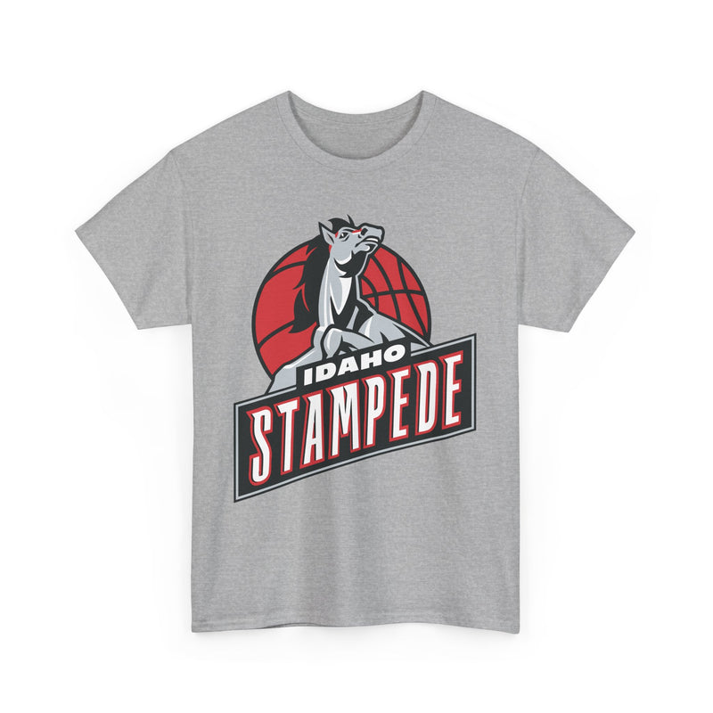 Load image into Gallery viewer, Idaho Stampede Continental Basketball Association NBA D-League 1997-2016 T-shirt