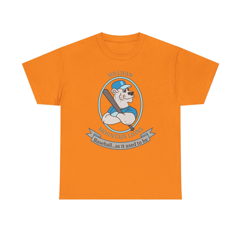 Load image into Gallery viewer, Sullivan County Mountain Lions Baseball 1995 New York T-shirt