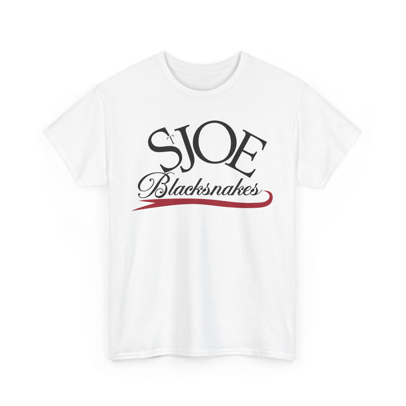 Load image into Gallery viewer, St. Joe Blacksnakes Missouri Baseball 2006-2007 T-shirt