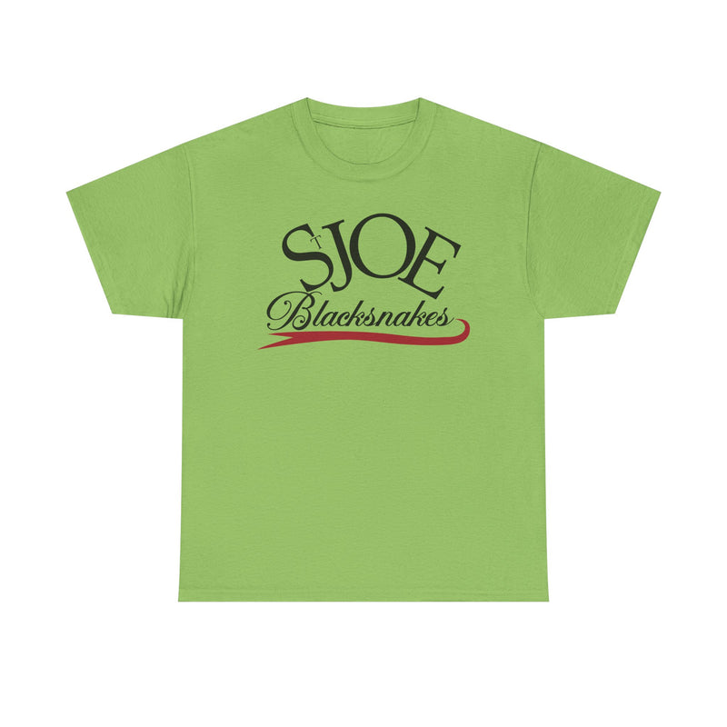 Load image into Gallery viewer, St. Joe Blacksnakes Missouri Baseball 2006-2007 T-shirt