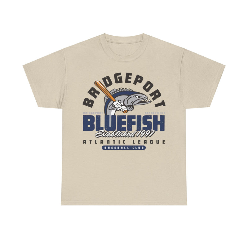 Load image into Gallery viewer, Bridgeport Bluefish Est 1997 Connecticut Baseball T-shirt