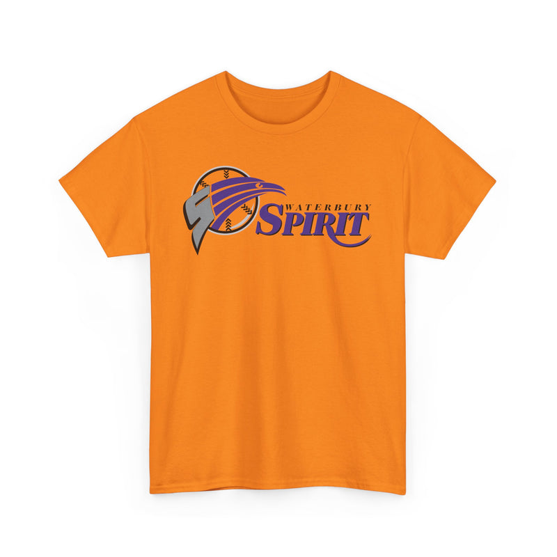 Load image into Gallery viewer, Waterbury Connecticut Spirit Baseball 1997-2000 T-shirt