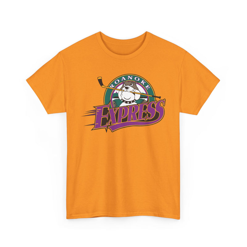 Load image into Gallery viewer, Roanoke Express Virginia Hockey 1993-2004 T-shirt