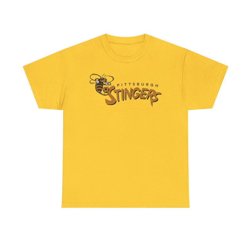 Load image into Gallery viewer, Pittsburgh Stingers Pennsylvania Soccer 1994-1995 T-shirt
